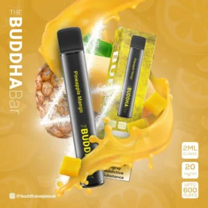 Mango Energy Buddha